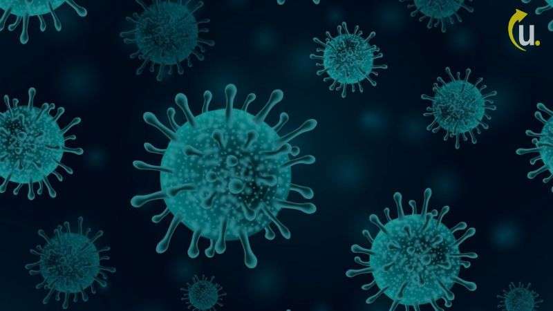 redução do salário e suspensão do contrato