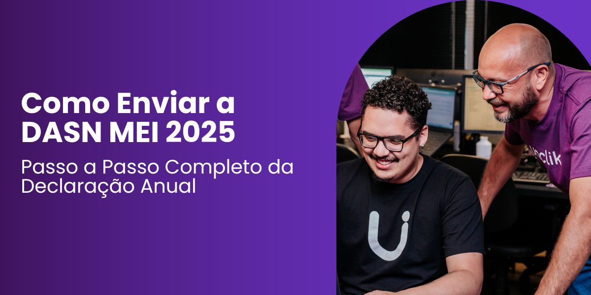 DASN MEI 2025 - PASSO A PASSO